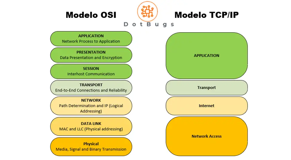 modelo de capas